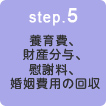 step.5 養育費、財産分与、慰謝料、婚姻費用の回収